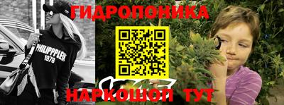 ПСИЛОЦИБИНОВЫЕ ГРИБЫ Чебоксары